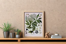 Indlæs billede til gallerivisning Plakat med gammel hånddekoreret tegning af en hyldebærbusk