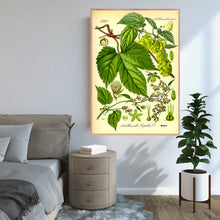 Indlæs billede til gallerivisning Plakat med tegning af humle