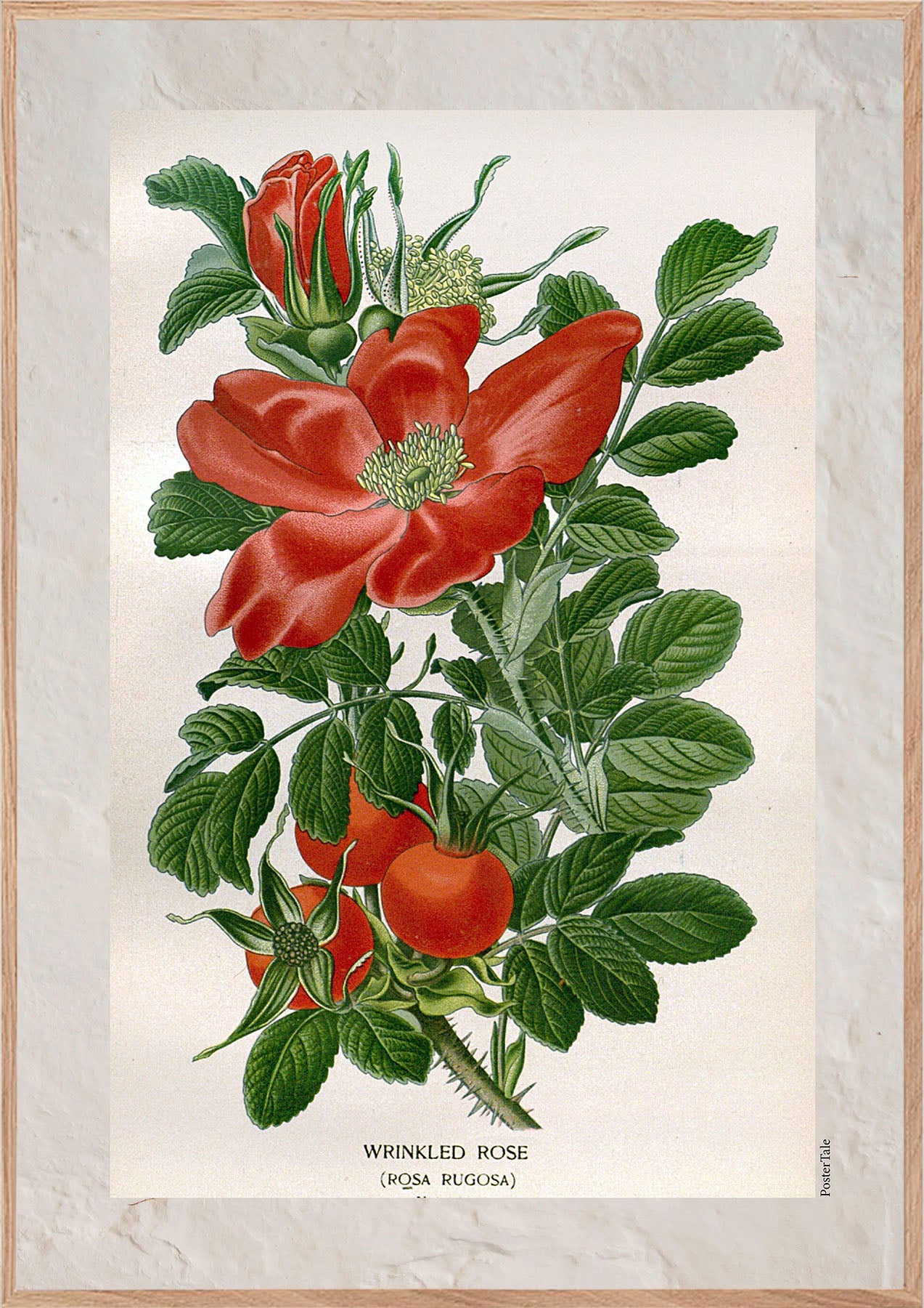 Lys rosa emalje og sølvramme – Addison Ross Ltd EU, image size:1273x1800