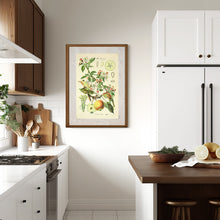 Indlæs billede til gallerivisning Plakat med gammel hånddekoreret tegning af et æbletræ