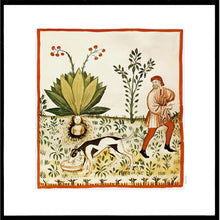 Indlæs billede til gallerivisning Hånddekoreret illustration fra middelalderen med den mystiske plante ‘alrunerod’