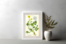 Indlæs billede til gallerivisning Plakat med gammel hånddekoreret tegning af brandbæger