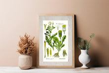 Indlæs billede til gallerivisning Plakat med gammel hånddekoreret tegning af brandbæger