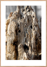 Indlæs billede til gallerivisning Plakat med forvitret træstub med et fantasi væsen