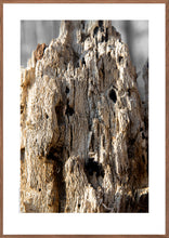 Indlæs billede til gallerivisning Plakat med forvitret træstub med et fantasi væsen