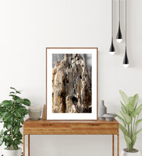 Indlæs billede til gallerivisning Plakat med forvitret træstub med et fantasi væsen