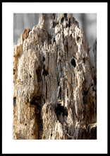 Indlæs billede til gallerivisning Plakat med forvitret træstub med et fantasi væsen