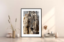 Indlæs billede til gallerivisning Plakat med forvitret træstub med et fantasi væsen