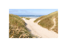 Indlæs billede til gallerivisning Plakat med marehalm i klitter ved vestkysten, Danmark
