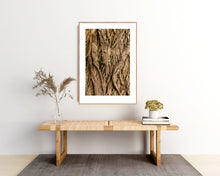 Indlæs billede til gallerivisning Plakat med bark fra vingevalnød