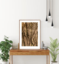 Indlæs billede til gallerivisning Plakat med bark fra vingevalnød