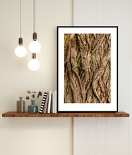 Indlæs billede til gallerivisning Plakat med bark fra vingevalnød