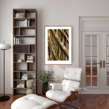 Indlæs billede til gallerivisning Plakat med bark fra vingevalnød