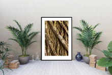 Indlæs billede til gallerivisning Plakat med bark fra vingevalnød