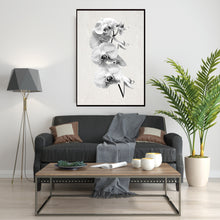 Indlæs billede til gallerivisning Plakat med orkideer i sort/hvid
