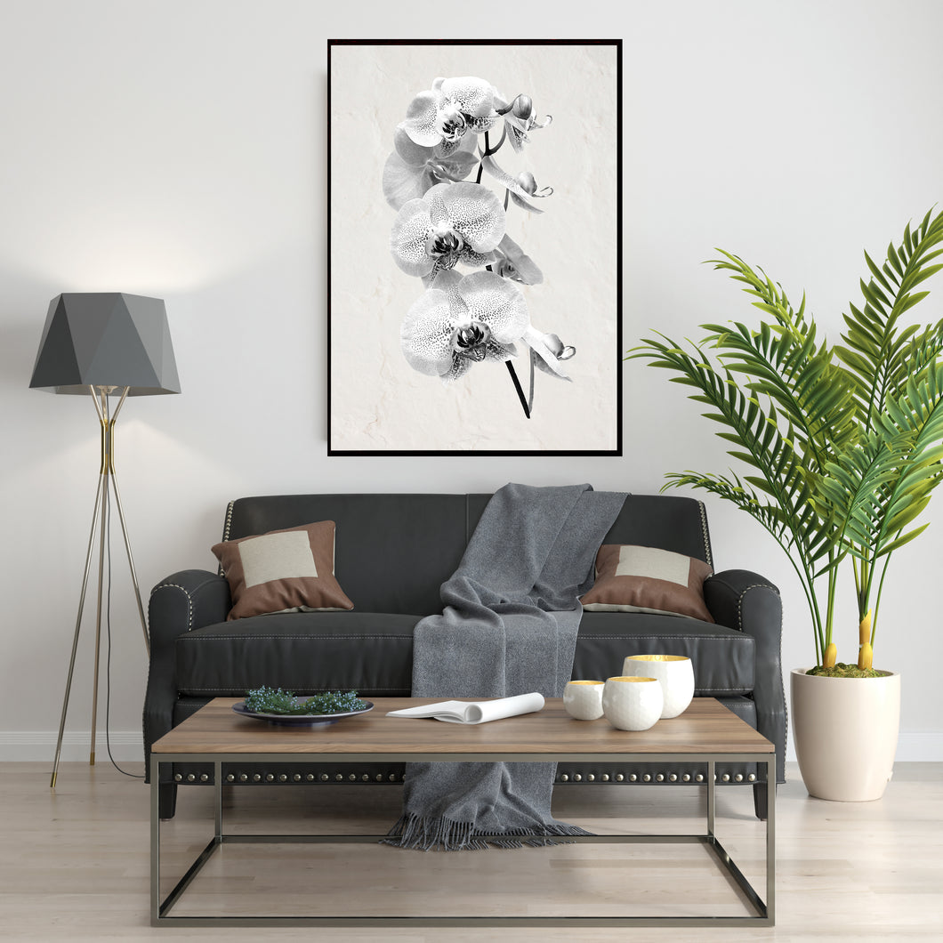 Plakat med orkideer i sort/hvid