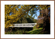 Plakat med Kongens Have i efterårsfarver, Danmark