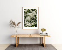 Indlæs billede til gallerivisning Plakat med blomstrende hvidtjørn
