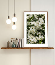 Indlæs billede til gallerivisning Plakat med blomstrende hvidtjørn
