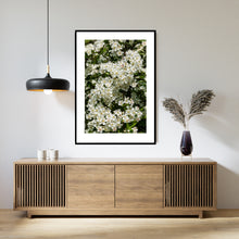 Indlæs billede til gallerivisning Plakat med blomstrende hvidtjørn

