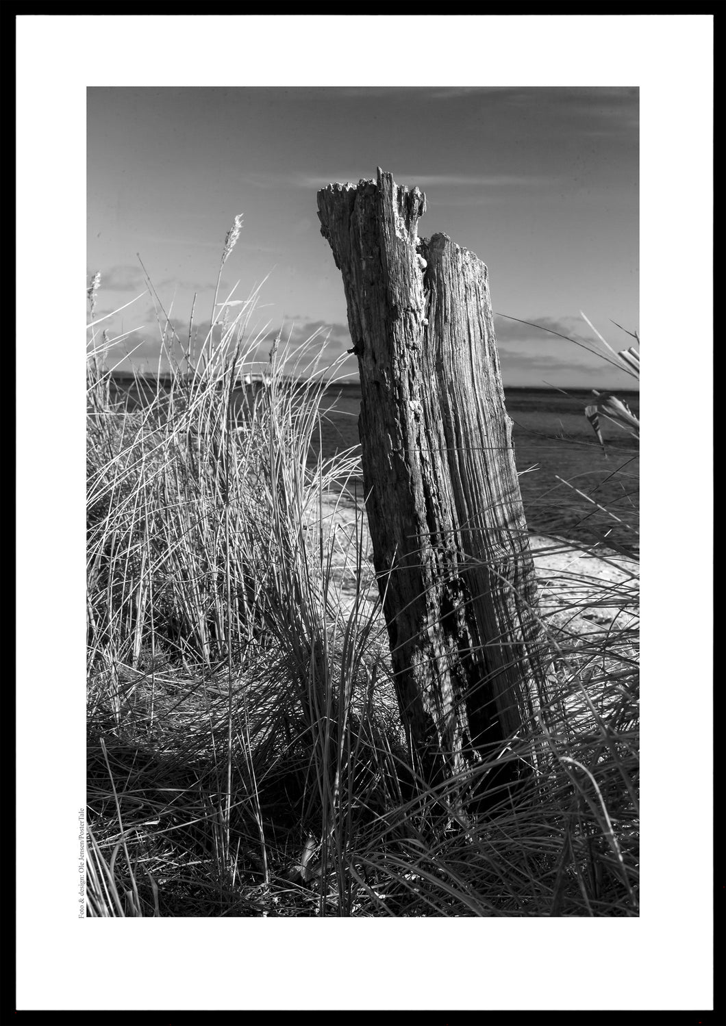 Strandkanten på Glænø, Danmarrk