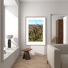 Indlæs billede til gallerivisning Plakat med blomstrende lyng
