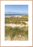 Plakat med klitter ved vesterhavet, Danmark