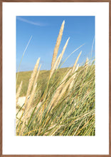 Indlæs billede til gallerivisning Plakat med marehalm ved vesterhavet, Danmark
