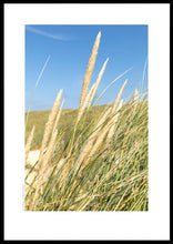 Indlæs billede til gallerivisning Plakat med marehalm ved vesterhavet, Danmark
