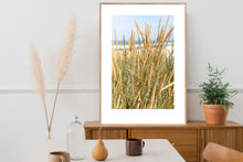 Indlæs billede til gallerivisning Plakat med marehalm ved vesterhavet, Danmark
