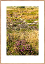 Indlæs billede til gallerivisning Hedevegetation
