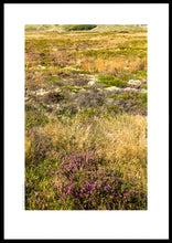 Indlæs billede til gallerivisning Hedevegetation
