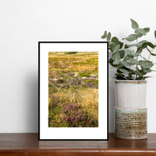 Indlæs billede til gallerivisning Hedevegetation
