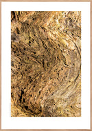 Plakat med forvitret træstamme