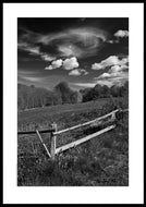 Plakat med forårseng ved Rude Skov, Danmark