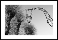 Stynede lindetræer i Christiansfeld, Danmark