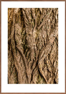 Plakat med bark fra vingevalnød
