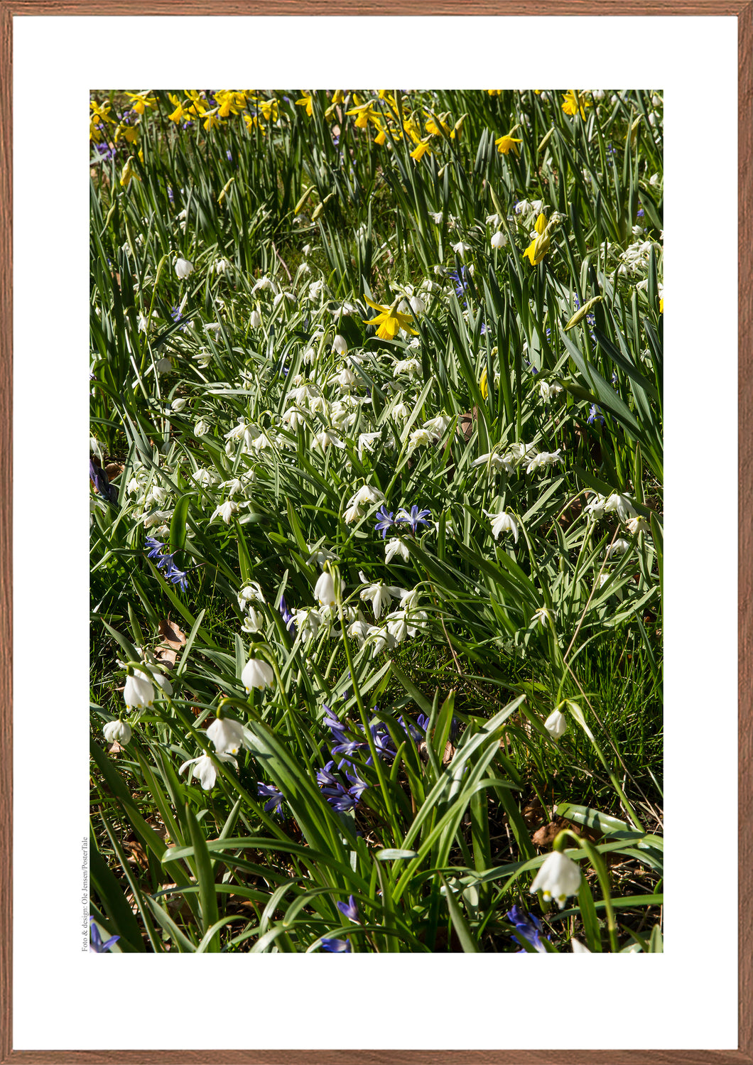 Plakat med forårsblomster