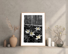 Indlæs billede til gallerivisning Plakat med anemoner i forårsskoven
