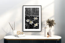 Indlæs billede til gallerivisning Plakat med anemoner i forårsskoven
