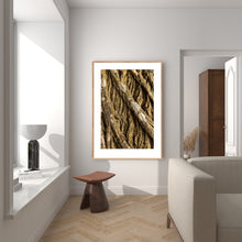 Indlæs billede til gallerivisning Plakat med bark fra vingevalnød
