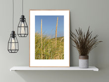 Indlæs billede til gallerivisning Plakat med marehalm ved vesterhavet, Danmark

